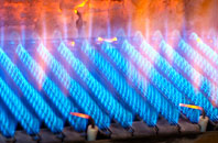 Gaydon gas fired boilers